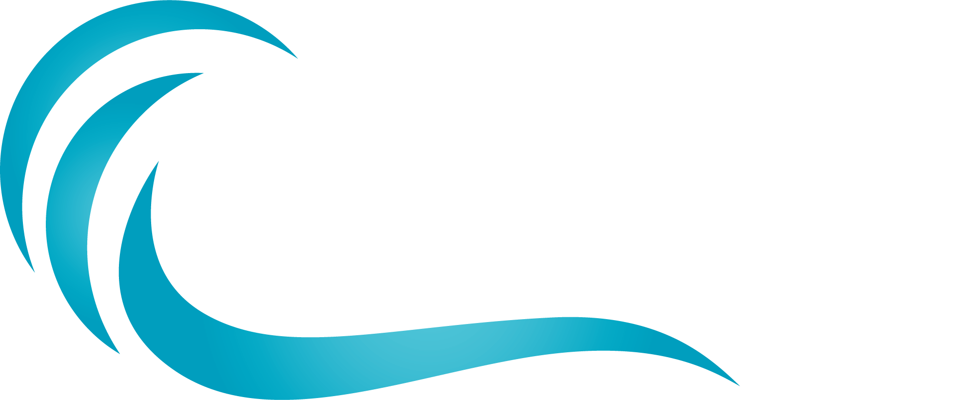 בלו וויק Ble Wake logo